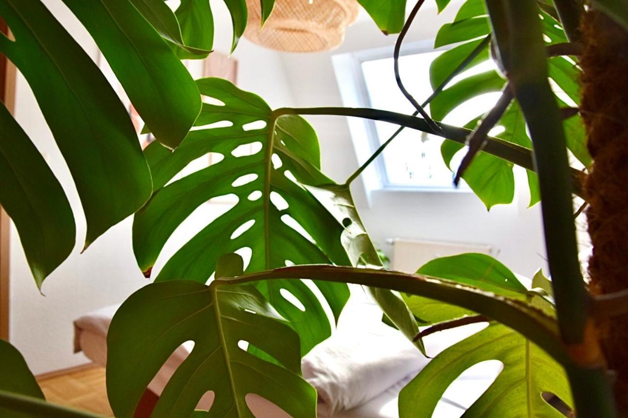 Greenbnbs: Cozy Urban Jungle In The City Centre Essen Zewnętrze zdjęcie