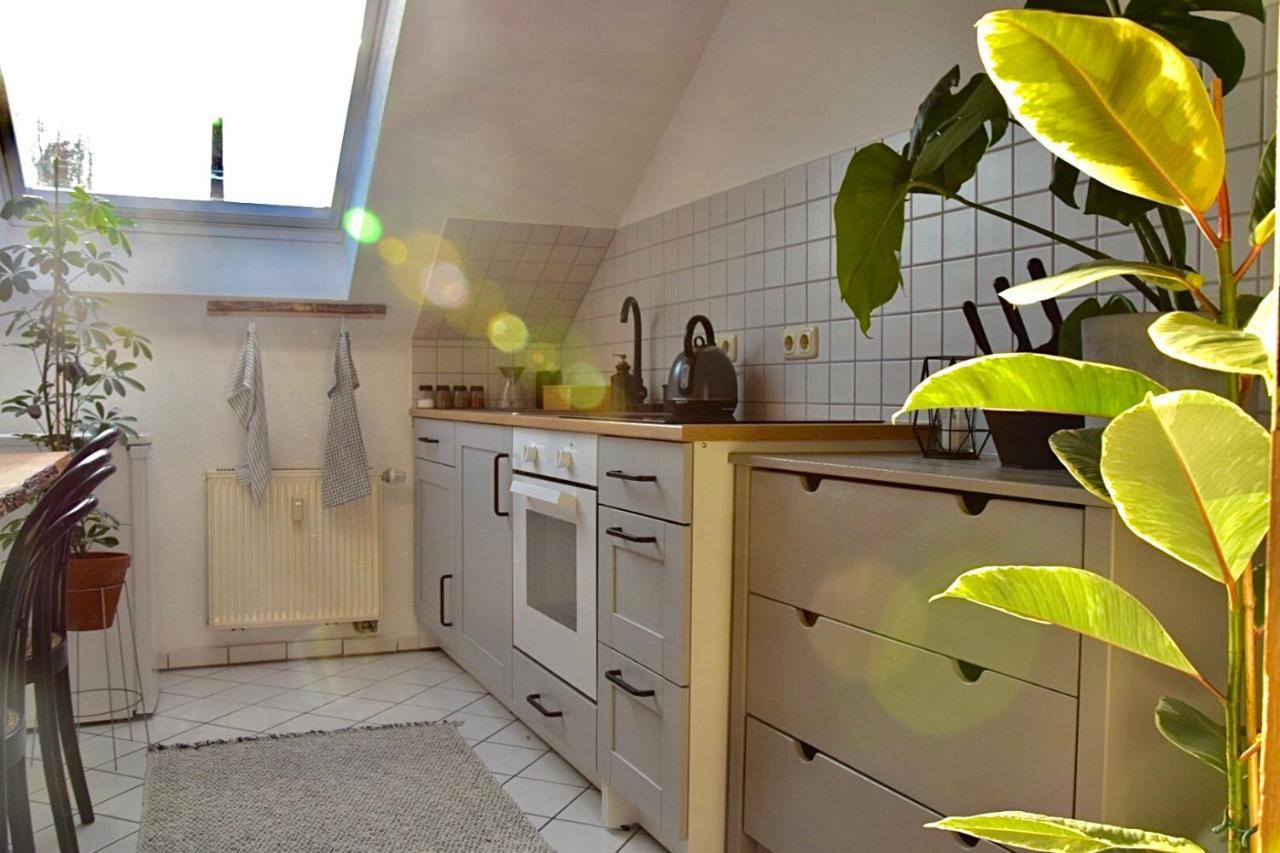 Greenbnbs: Cozy Urban Jungle In The City Centre Essen Zewnętrze zdjęcie