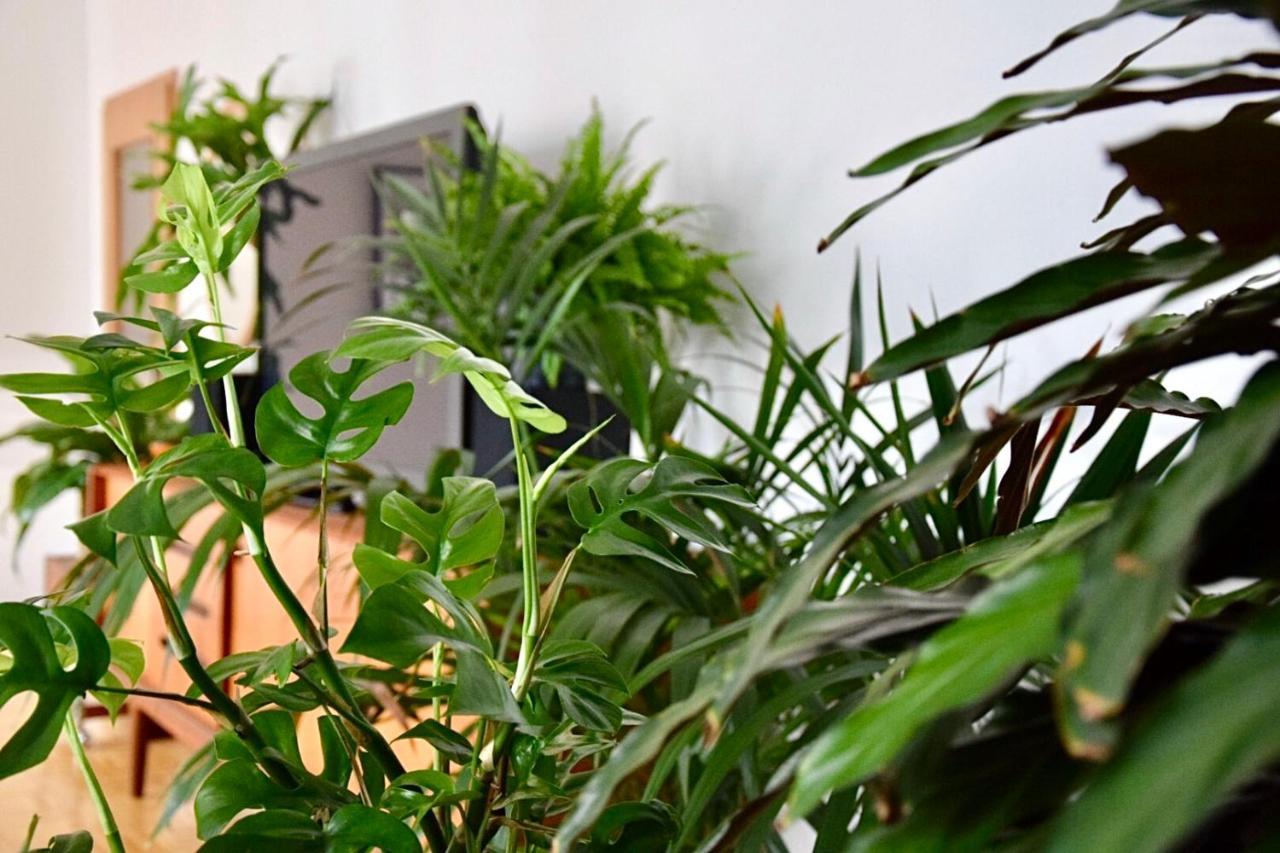 Greenbnbs: Cozy Urban Jungle In The City Centre Essen Zewnętrze zdjęcie