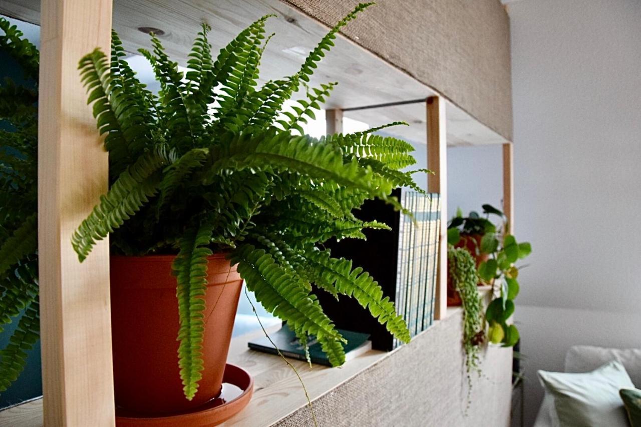 Greenbnbs: Cozy Urban Jungle In The City Centre Essen Zewnętrze zdjęcie